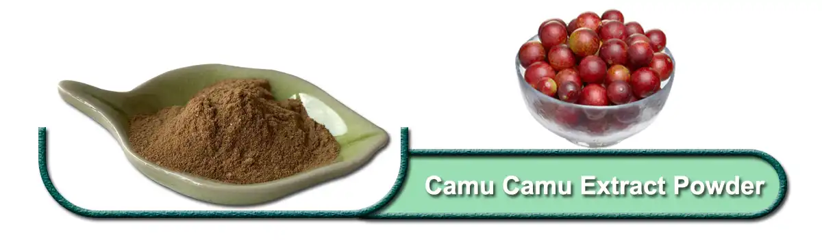 Camu Camu Extract .jpg